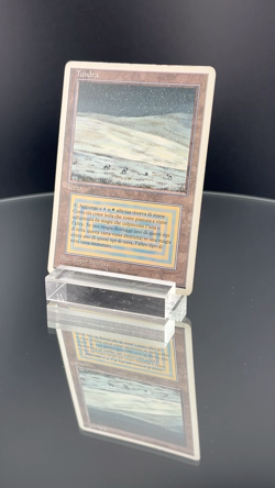 Tundra - MTG Italian Revised (FWB), 1995 - Image 2