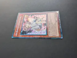Yugioh Ash Blossom & Joyous Spring RA04-EN025 Prismatic Collectors Rare 1st NM - Image 4