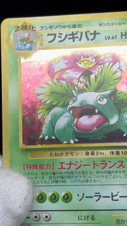 (MP) Blastoise Venusaur Trade Please CD Promo 1998 Swirl Japanese Pokemon Card - Image 2