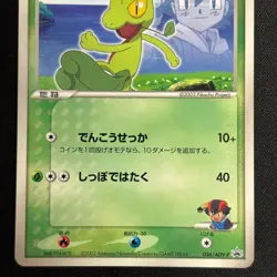 Ash's Treecko 036/ADV-P Promo Shogakukan Elementary Japanese Pokemon Card - Image 4