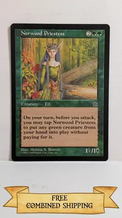 Norwood Priestess Portal Second Age ...sku: CE209 - Image 1