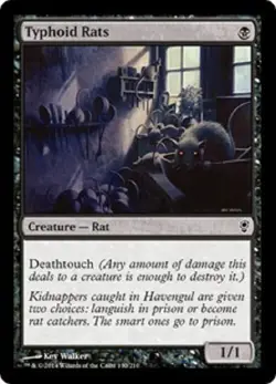 FOIL TYPHOID RATS *CONSPIRACY* - Image 1