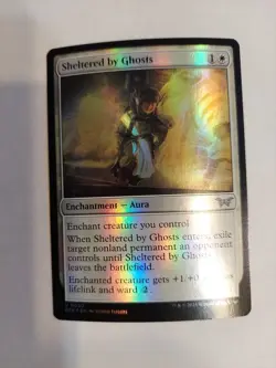 Sheltered by Ghosts Duskmourn: House of Horror Foil - Image 1