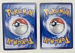 Pokemon Pidgeot EX Winner & Pal Pad Great Ball League Indonesia 2024 - Image 2