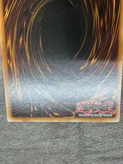 Lonefire Blossom CP07-EN005 Champion Pack 7 Unlimited Super Rare Yugioh 2 Of 2 - Image 5
