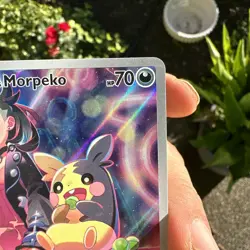 MARNIE'S MORPEKO 2025 POKEMON SCARLET & VIOLET BLACK STAR PROMO 206 Q5276 - Image 4