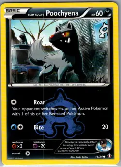 Team Aqua's Poochyena 16/34 Non Holo Double Crisis - Pokemon Card - NM - Image 1