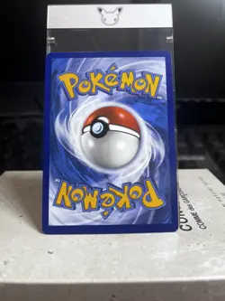 Pokemon TCG - Poochyena GG33/GG70 Holo Crown Zenith Galarian Gallery - Image 2