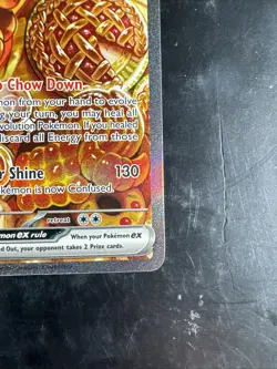 Pokemon Cards Dachsbun ex 169/142 Stellar Crown Special Illustration Rare NM - Image 4