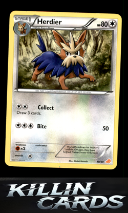 Herdier 19/30 Pokemon Common BW Trainer Kit: Excadrill & Zoroark Card NM - Image 1