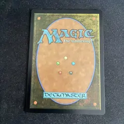 Ajani, Outland Chaperone MTG Lorwyn Eclipsed - Image 2