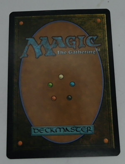 Plague Wind [8th Edition] MAGIC THE GATHERING MTG CARD - Image 2
