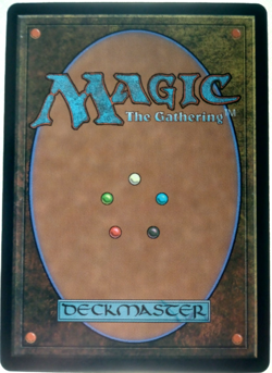 MTG - Evendo, Waking Haven - EOE - NM MTG - Image 2