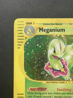 Meganium 18/165 Holo Rare - Expedition Base Set 2002 - Vintage Pokemon Card WOTC - Image 2