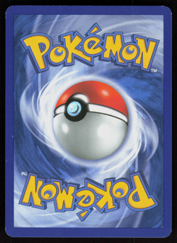 Pokemon 2008 ENGLISH STAFF STAMP Tropical Wind DP25 Promo Lightly Played - Image 2