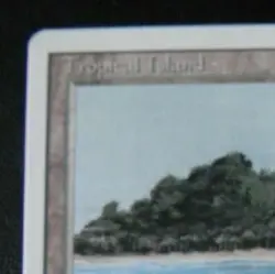 TROPICAL ISLAND : MTG : REVISED : DUAL LAND :VERY FINE/NM : 1994 : SEE PHOTO'S - Image 4