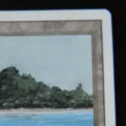 TROPICAL ISLAND : MTG : REVISED : DUAL LAND :VERY FINE/NM : 1994 : SEE PHOTO'S - Image 5