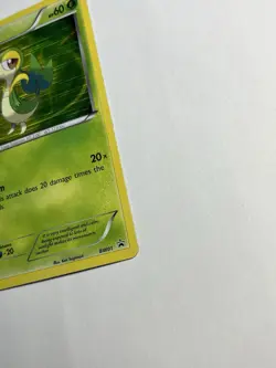 Snivy BW01 Holo Promo 2011 Black & White Black Star Promo Pokemon Card LP - Image 3