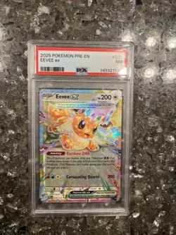 2025 Pokemon Pre En Eevee Ex PSA 7 Looks Nicer Freshly Slabbed - Image 3