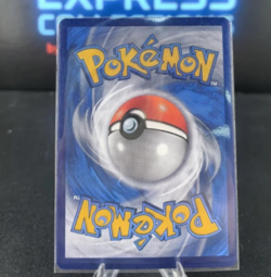 Pokemon Chinese Promo Card 081/S-P Alola friends Anniversary Gift Box IN STOCK - Image 3