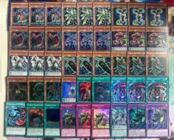 Predaplant Deck Core - 45 Cards - With New Cards - Fusion Plant Deck X3 - YuGiOh - Image 1