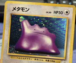 Pokemon TCG - Ditto No 132 - Fossil 3 - Holo Rare - Japanese excellent pokeball - Image 1
