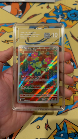 2025 Maractus Pokemon J SV9: Battle Partners 101/100 Graded Card TAG 10 Art Rare - Image 2