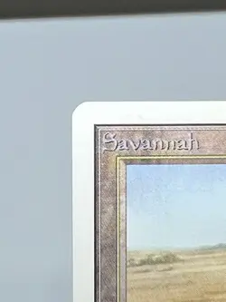 MTG SAVANNAH #2 Unlimited Edition Regular MT Rare Magic The Gathering - Image 3