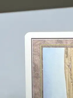 MTG SAVANNAH #2 Unlimited Edition Regular MT Rare Magic The Gathering - Image 4