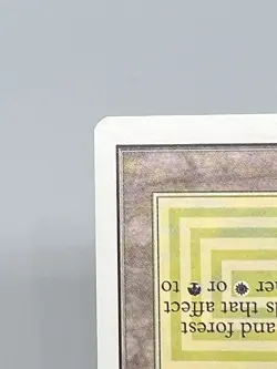 MTG SAVANNAH #2 Unlimited Edition Regular MT Rare Magic The Gathering - Image 5