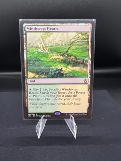 MTG - Windswept Heath - Image 1