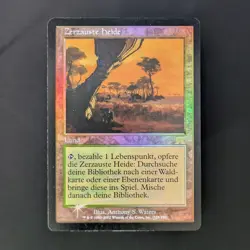 MTG \>> Windswept Heath (GD) <<// Onslaught - 341 Trading - Magic - Image 1
