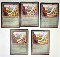 MTG Undiscovered Paradise Visions Rare Land Near Mint NM - Image 1