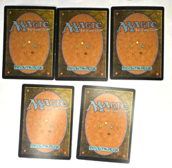 MTG Undiscovered Paradise Visions Rare Land Near Mint NM - Image 2