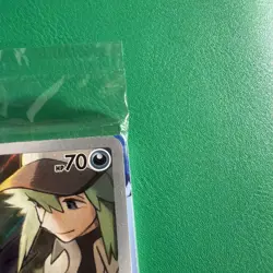 N's Zorua SVP 189 Illustration Rare Sealed Promo Journey Together Pokemon Card - Image 4
