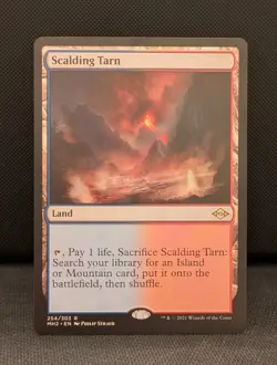 Scalding Tarn 254/303 Modern Horizons 2 (LP) - Image 1