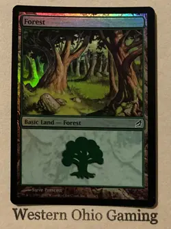 Magic The Gathering Lorwyn Forest #300/301 Foil Land MTG TCG CCG - Image 1