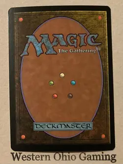 Magic The Gathering Lorwyn Forest #300/301 Foil Land MTG TCG CCG - Image 2