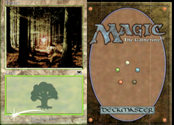 Magic the Gathering -MTG-Forest Foil - Image 1