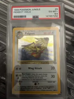 1999 Pokemon Jungle Pidgeot Holo Psa 6.5 - Image 1