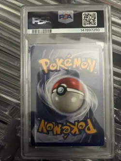 1999 Pokemon Jungle Pidgeot Holo Psa 6.5 - Image 3