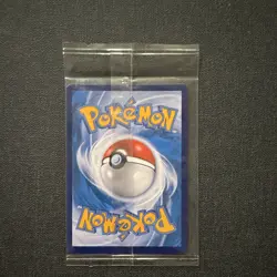 Pokemon Litten Promo Cards 020/301 Holo Promo Chinese 2020 70 HP - Image 2