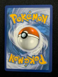 Charizard V 019/189 SWSH03: Darkness Ablaze Pokemon NM Holo - Image 2