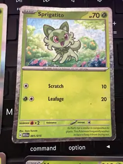 Pokemon TCG Sprigatito Floragato Meowscarada Lot (6) Various Sets Holo NM - Image 4