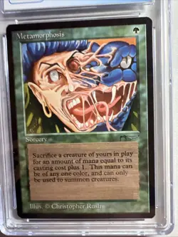 MTG Arabian Nights Metamorphosis CGC 9 Mint 1993 - Image 3
