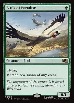 Birds of Paradise MSC NM MTG - Image 1