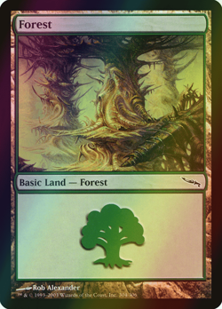 MTG Forest (304) Foil ** Mirrodin ** English (NM) - Image 1