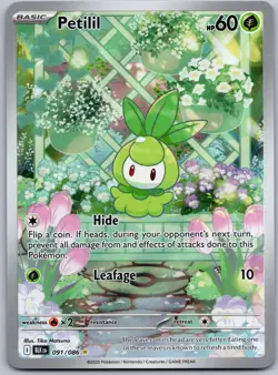2025 Pokemon Black Bolt Petilil 091/086 Illustration Rare Holo NM - Image 1