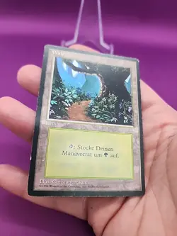 MTG Forest B PATH GERMAN FBB Beta Basic Land MP Rare Revised *CCGHouse* RC - Image 4