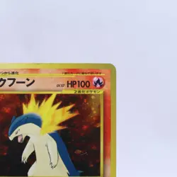 Typhlosion Meganium Feraligatr Neo Genesis Premium File Pokemon Card Japanese - Image 4